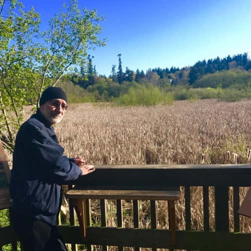 دانلود آهنگ سیاوش قمیشی پرنده مهاجر دانلود آهنگ سیاوش قمیشی پرنده مهاجر