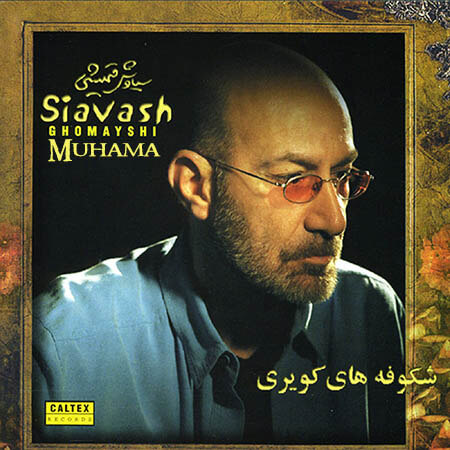 دانلود آهنگ سیاوش قمیشی ایرونی دانلود آهنگ سیاوش قمیشی ایرونی