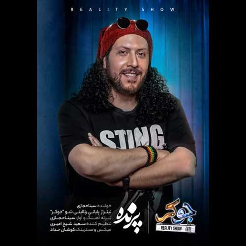 دانلود آهنگ سینا حجازی پرنده دانلود آهنگ سینا حجازی پرنده