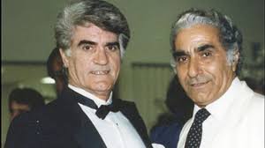 دانلود آهنگ ویگن مرغ طوفان دانلود آهنگ ویگن مرغ طوفان