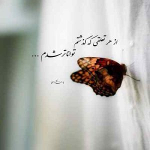 دانلود آهنگ حسین توکلی تو را میخواهم دانلود آهنگ حسین توکلی تو را میخواهم