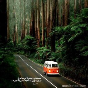 دانلود اهنگ امیر شاملو گلفروش با کیفیت اورجینال 320 دانلود اهنگ امیر شاملو گلفروش با کیفیت اورجینال 320