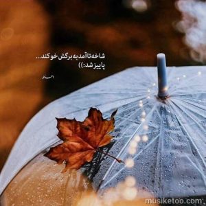 دانلود اهنگ اومدی صداتو قربون این همه وفاتو قربون کیفیت 320 دانلود اهنگ اومدی صداتو قربون این همه وفاتو قربون کیفیت 320